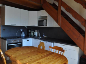 Bel appartement près des télésièges avec balcon et WiFi à Châtel - FR-1-693-49